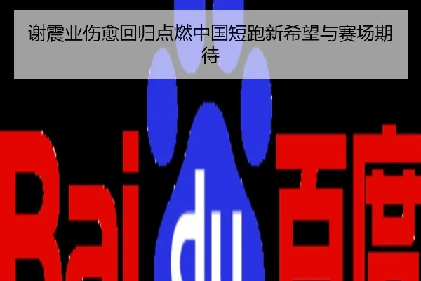 谢震业伤愈回归点燃中国短跑新希望与赛场期待